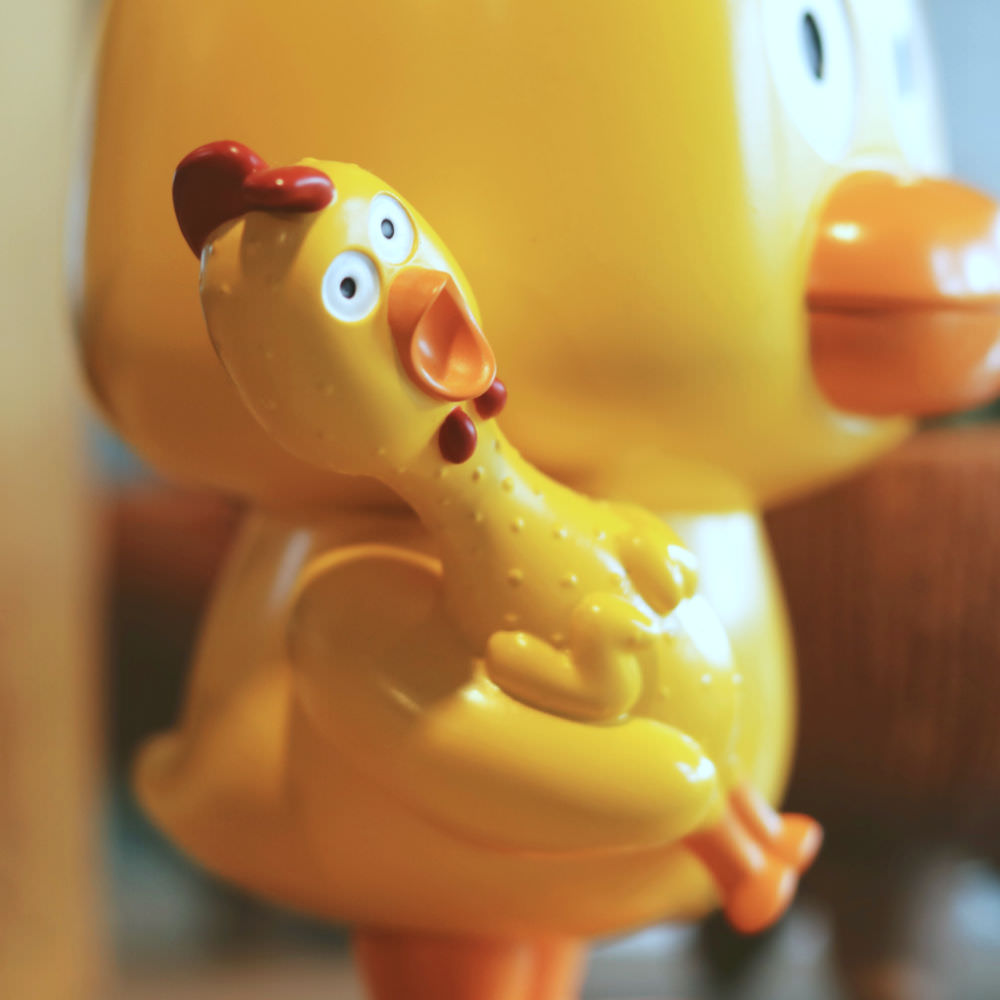duckkudoz