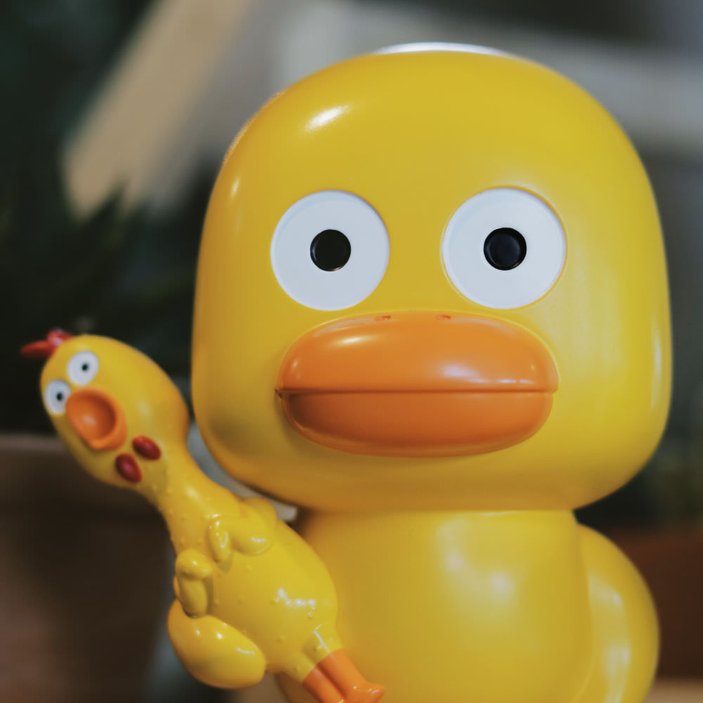 duckkudoz