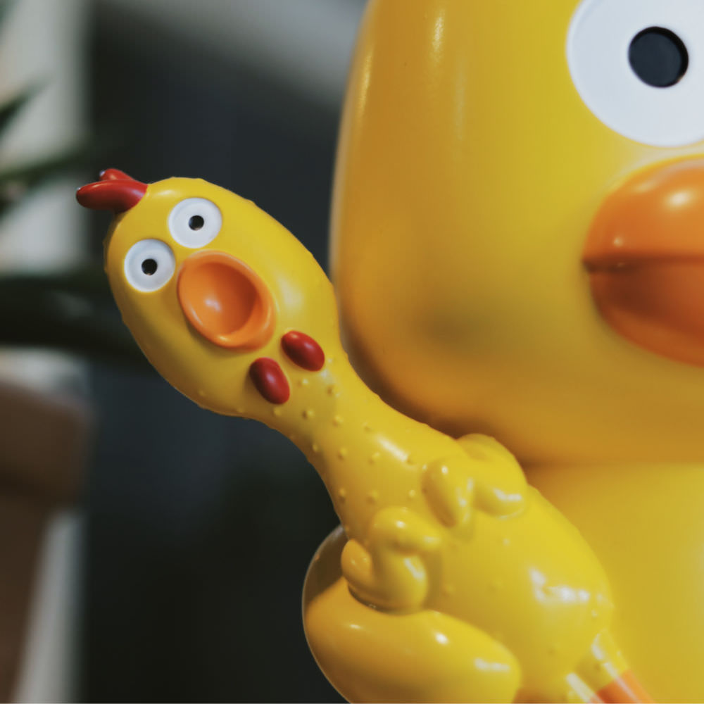 duckkudoz